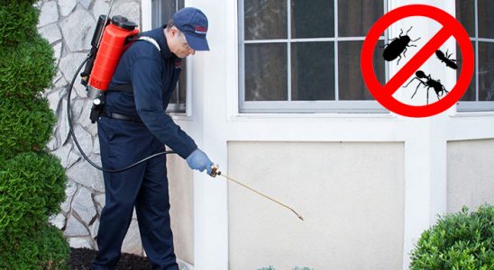 Harmancık Fare İlaçlama böcek ilaçlama ve haşere kontrolü — ilaclama-tr.com
